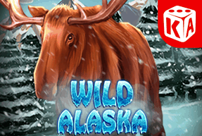 Wild Alaska