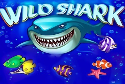 Wild Shark