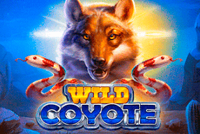 Wild Coyote