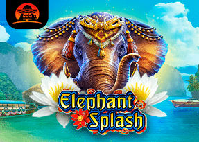 Elephant Splash