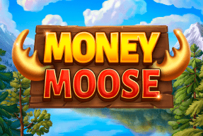 Money Moose