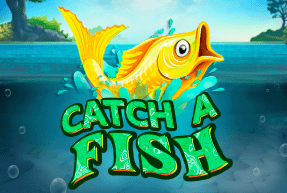 Catch a Fish