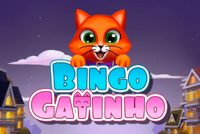 Bingo Gatinho