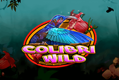 Colibri Wild