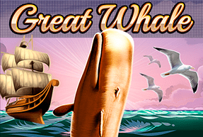 Great Whale  