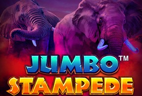 Jumbo Stampede