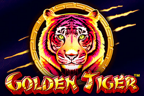 Golden Tiger