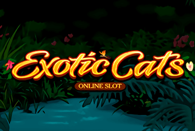 Exotic Cats