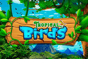 Tropical Birds