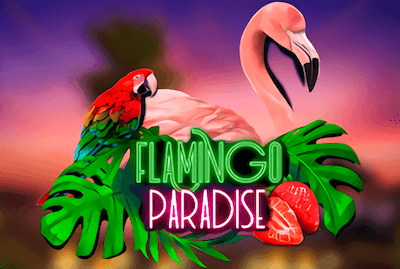 Flamingo Paradise