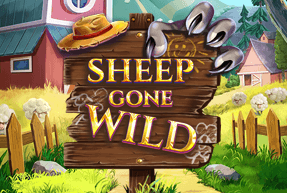 Sheep Gone Wild