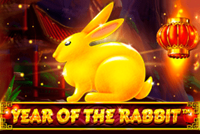 Year Of The Rabbit