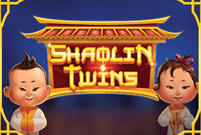 Shaolin Twins