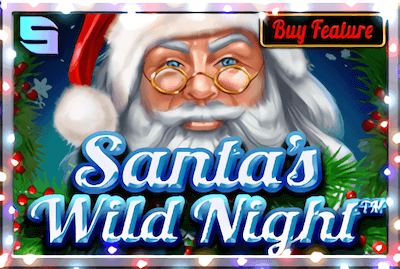 Santa’s Wild Night