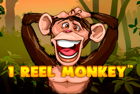 1 Reel Monkey