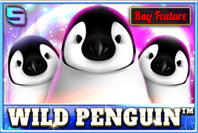 Wild Penguin