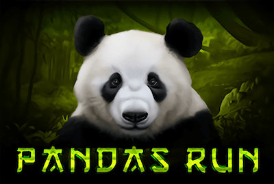 Panda's Run