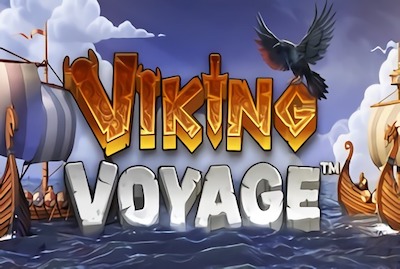 Viking Voyage