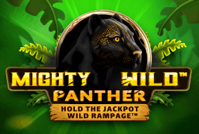 Mighty Wild Panther